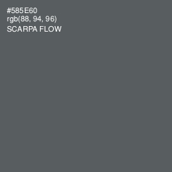 #585E60 - Scarpa Flow Color Image